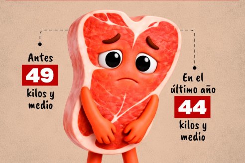 El consumo de carne bajó cinco kilos y el 25% del precio son impuestos