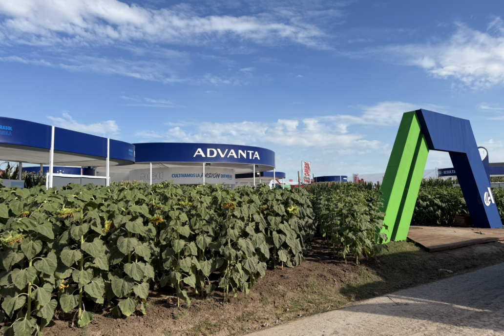 Advanta sale a la ruta con 65 autos clásicos junto a su red de distribución