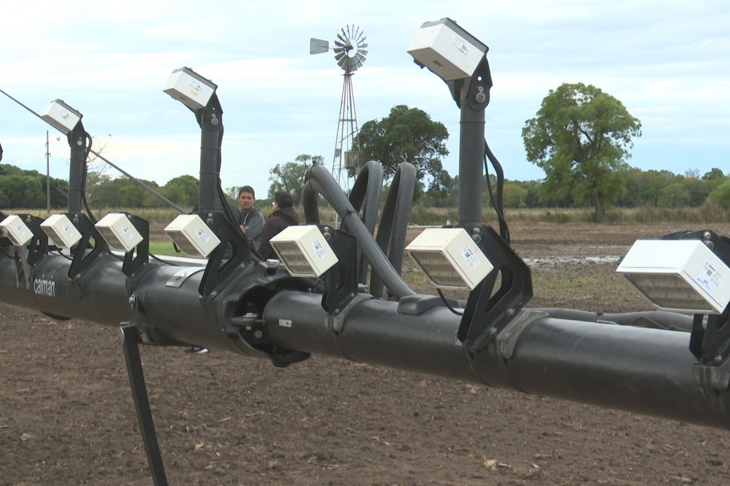 Jornada Carinata: La evolución real del sistema productivo argentino - San Jerónimo Norte, Santa Fe
