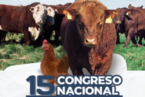 Gualeguaychú será sede del congreso de fundaciones y entes sanitarios