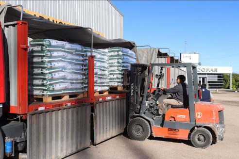 Siguen a paso firme los despachos de colza entrerriana al Uruguay