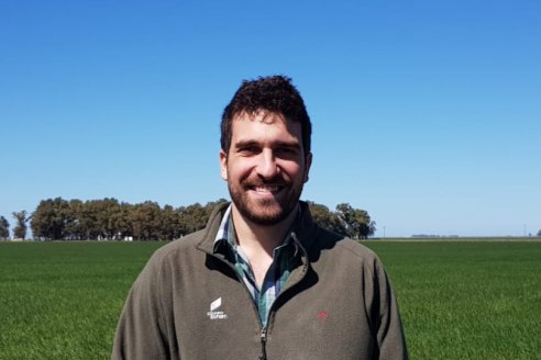 La nutrición integral es clave para la eficiencia en una campaña triguera de costos desafiantes