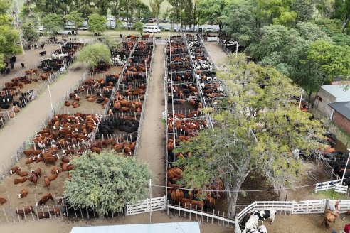 Etchevehere Rural celebró sus primeros 56 años de actividad