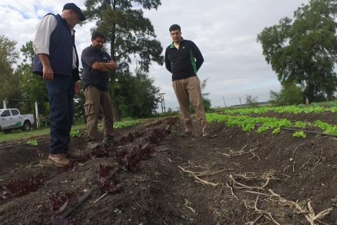 Matias Güttlein - Horticultor - Pasion y profesionalismo en función de lograr verduras de calidad