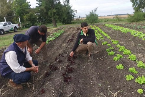 Matias Güttlein - Horticultor - Pasion y profesionalismo en función de lograr verduras de calidad