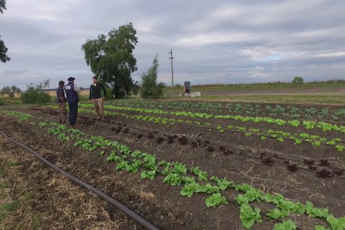 Matias Güttlein - Horticultor - Pasion y profesionalismo en función de lograr verduras de calidad