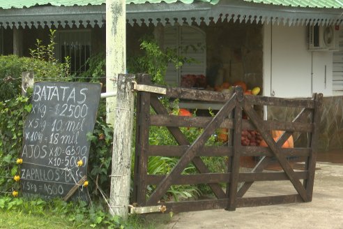 Matias Güttlein - Horticultor - Pasion y profesionalismo en función de lograr verduras de calidad