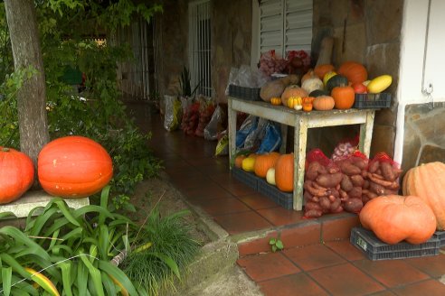 Matias Güttlein - Horticultor - Pasion y profesionalismo en función de lograr verduras de calidad