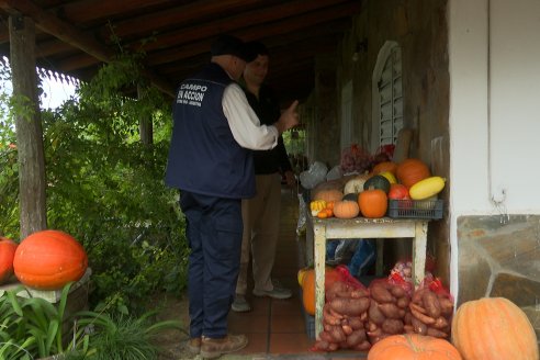 Matias Güttlein - Horticultor - Pasion y profesionalismo en función de lograr verduras de calidad