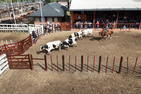 Postales del Remate Anual 56 Aniversario de Etchevehere Rural en Feria Maria Dolores, Ramirez.