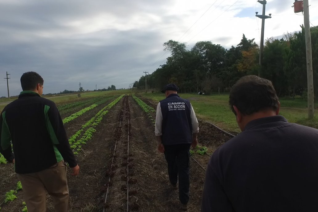 Matias Güttlein - Horticultor - Pasion y profesionalismo en función de lograr verduras de calidad