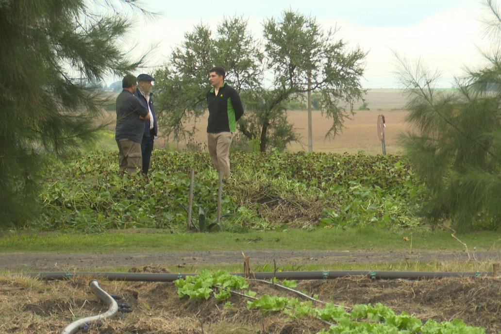 Matias Güttlein - Horticultor - Pasion y profesionalismo en función de lograr verduras de calidad