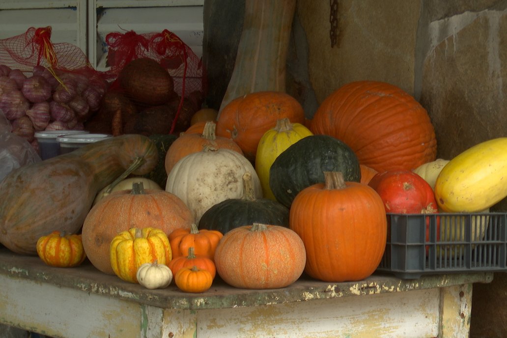 Matias Güttlein - Horticultor - Pasion y profesionalismo en función de lograr verduras de calidad