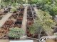 Etchevehere Rural celebró sus primeros 56 años de actividad