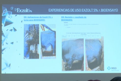 1° Congreso de Actualización en Garrapatas - Soc. Ruural de Federal, Entre Ríos