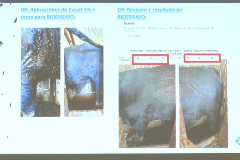 1° Congreso de Actualización en Garrapatas - Soc. Ruural de Federal, Entre Ríos