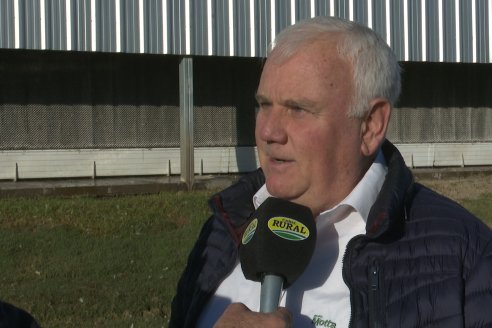"La avicultura entrerriana concretó un proceso virtuoso que nos coloca como líderes en Latinoamérica"