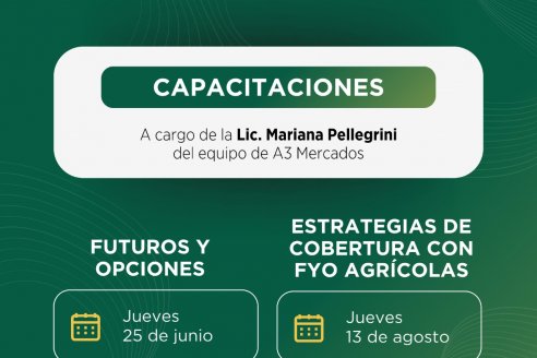 Futuros y opciones; y estrategias de cobertura