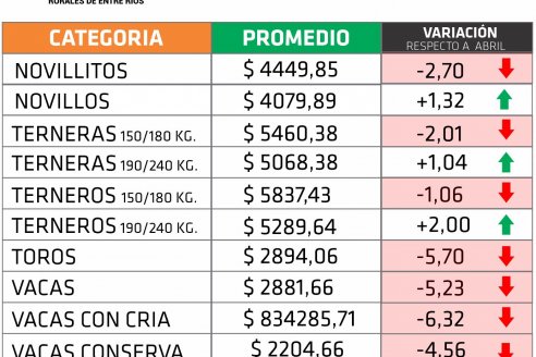 Para Farer, el precio de la hacienda en pie bajó menos del 1% en mayo