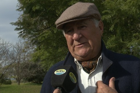 Establ. Don Andrés: Previa al 12° Remate Anual Angus de Calderón