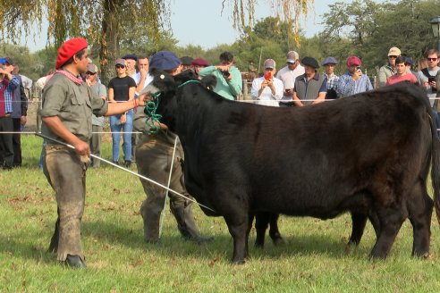 1° Gira Ganadera 2026 Angus Litoral - Experiencia Santa Lucia