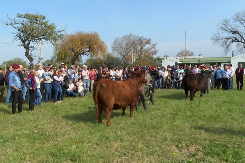 1° Gira Ganadera 2026 Angus Litoral - Experiencia Santa Lucia