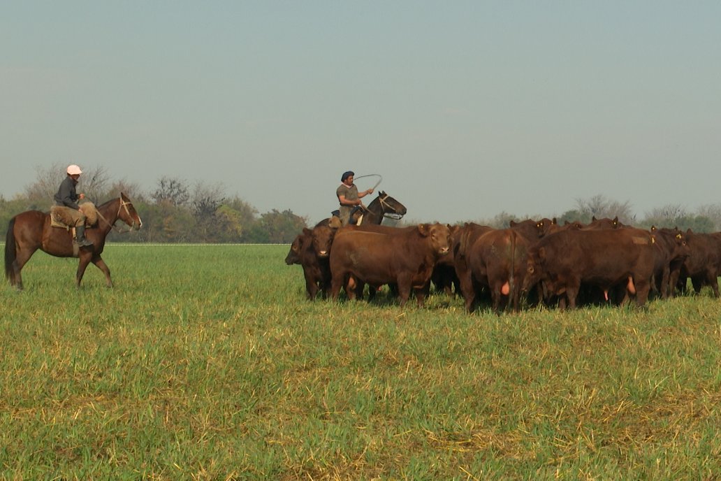 En Cabaña Santa Lucía se reunieron ganaderos motivados en saber más sobre producción de carne