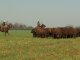 En Cabaña Santa Lucía se reunieron ganaderos motivados en saber más sobre producción de carne