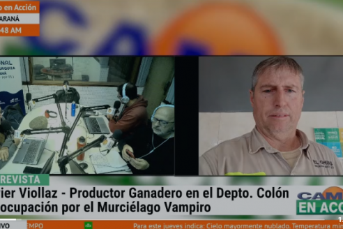Javier Viollaz explica y señala que "los murciélagos matan a nuestros animales y el Senasa no actúa"