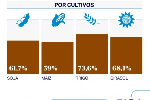 Por cada 100 pesos que generan los productores, casi 62 son impuestos