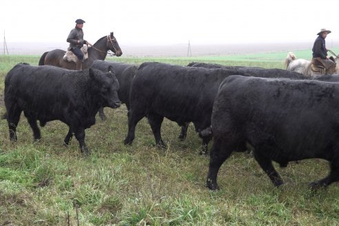 Dia de Campo 2026 - Coembotá de Calderón