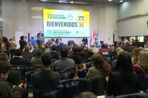 La cadena de la soja consolida su posición de liderazgo en el mercado