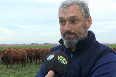 Visita a Cabaña Bajo Fértil de Genética L&rsquo;Arachide - Previa al 6to. Remate Anual