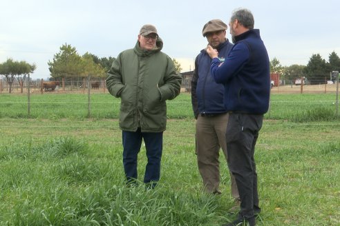 Visita a Cabaña Bajo Fértil de Genética L&rsquo;Arachide - Previa al 6to. Remate Anual
