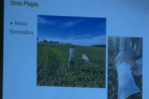 Workshop Trigo y Crucíferas de Syngenta en Santa Fe