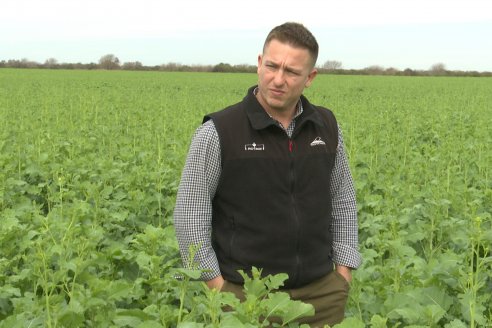 Recorrida por la carinata de Saracho S.A. en Hasenkamp junto a Agrofe Campo y Nufarm
