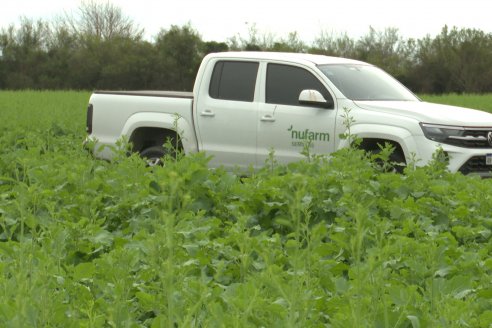 Recorrida por la carinata de Saracho S.A. en Hasenkamp junto a Agrofe Campo y Nufarm