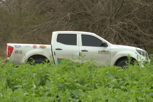 Recorrida por la carinata de Saracho S.A. en Hasenkamp junto a Agrofe Campo y Nufarm