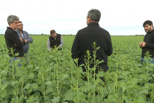 Recorrida por la carinata de Saracho S.A. en Hasenkamp junto a Agrofe Campo y Nufarm