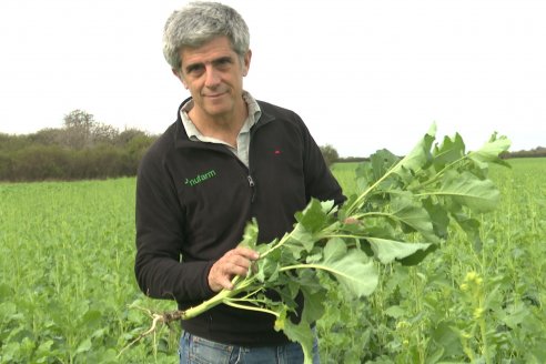 Recorrida por la carinata de Saracho S.A. en Hasenkamp junto a Agrofe Campo y Nufarm