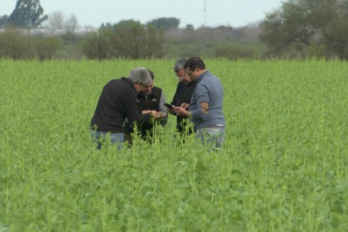Recorrida por la carinata de Saracho S.A. en Hasenkamp junto a Agrofe Campo y Nufarm