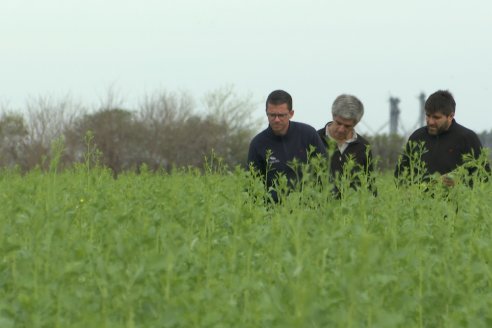 Recorrida por la carinata de Saracho S.A. en Hasenkamp junto a Agrofe Campo y Nufarm