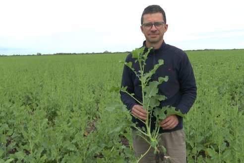 Recorrida por la carinata de Saracho S.A. en Hasenkamp junto a Agrofe Campo y Nufarm