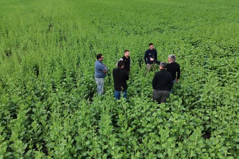 Recorrida por la carinata de Saracho S.A. en Hasenkamp junto a Agrofe Campo y Nufarm