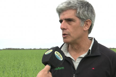 Recorrida por la carinata de Saracho S.A. en Hasenkamp junto a Agrofe Campo y Nufarm