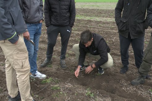 Presentación de la nueva sembradora Velosofía Air de Giorgi-Plantium en El Tatú Maquinarias - Seguí, Entre Rios