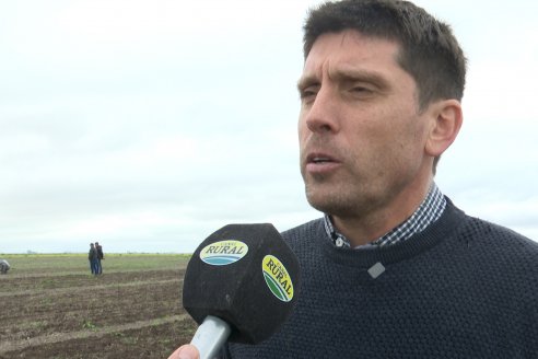 Presentación de la nueva sembradora Velosofía Air de Giorgi-Plantium en El Tatú Maquinarias - Seguí, Entre Rios