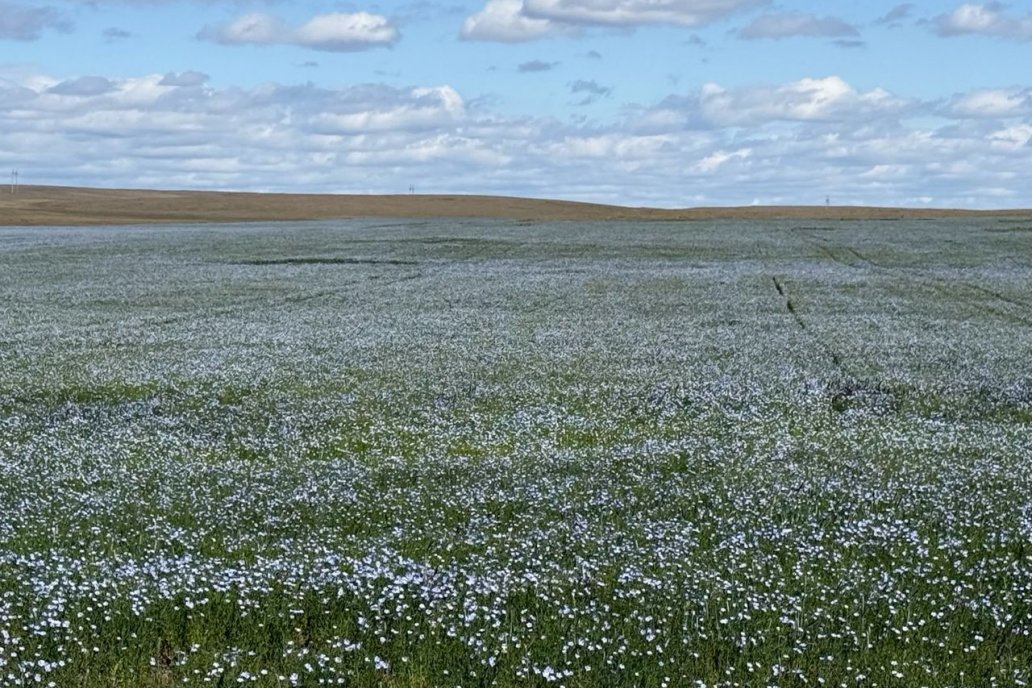 Adamant Agro también brindará soluciones para mejorar su perfil de emisiones