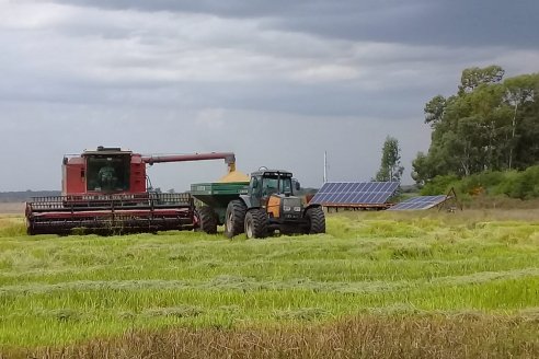 En junio, Entre Ríos subió 1,3% el consumo de combustibles