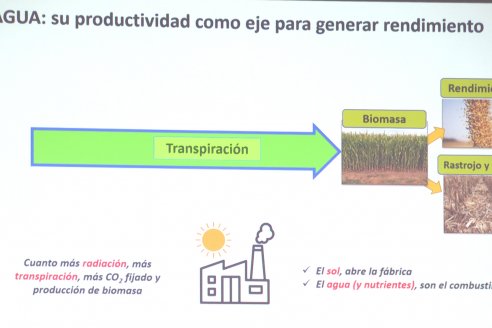 IRRIGATIO Riego & Energia: Jornada de Riego y Nutrición por goteo subterraneo en Villaguay